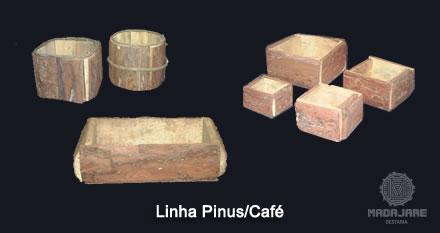 Linha Pinus/Café